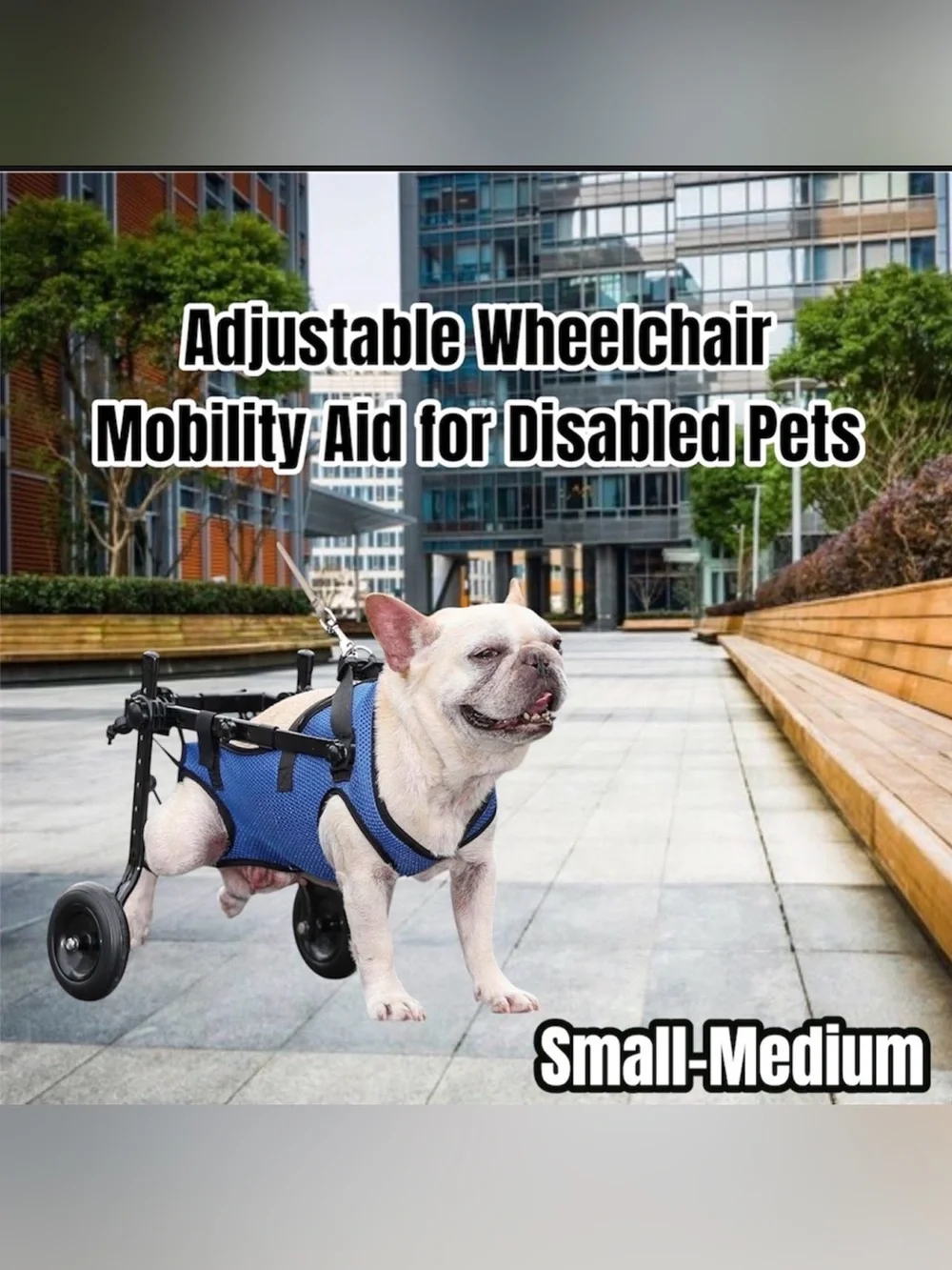 Adjustable Dog Wheelchair Mobility Aid for Disabled Pets - Blue - Small/Medium